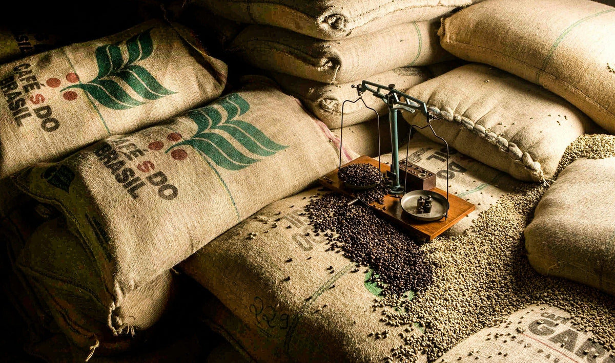 Coffee sacks and a balance scale surrounded by green and roasted coffee beans