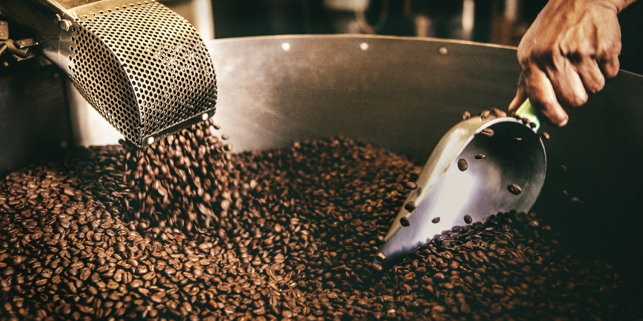 Roasted coffee beans being released into a cooling tray