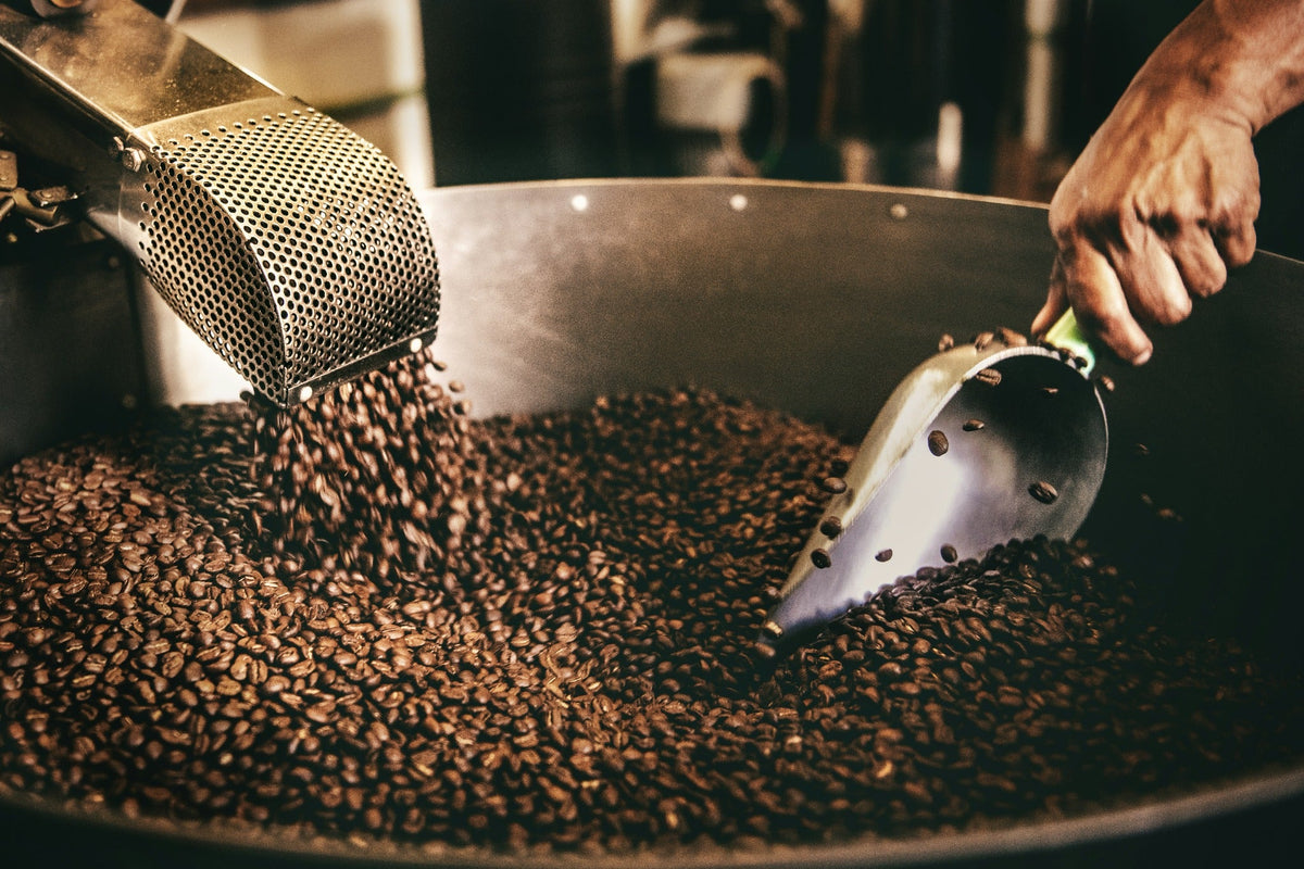Roasted coffee beans being released into a cooling tray
