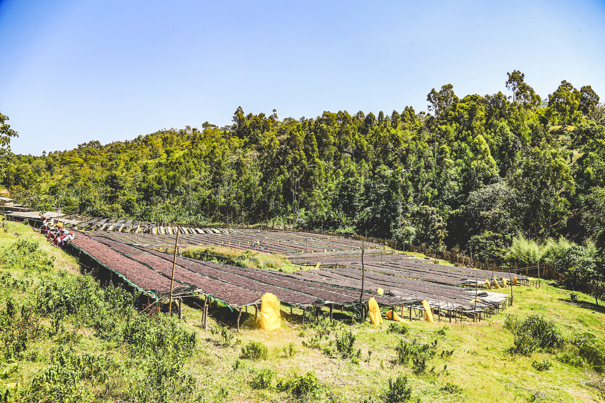 Farm image