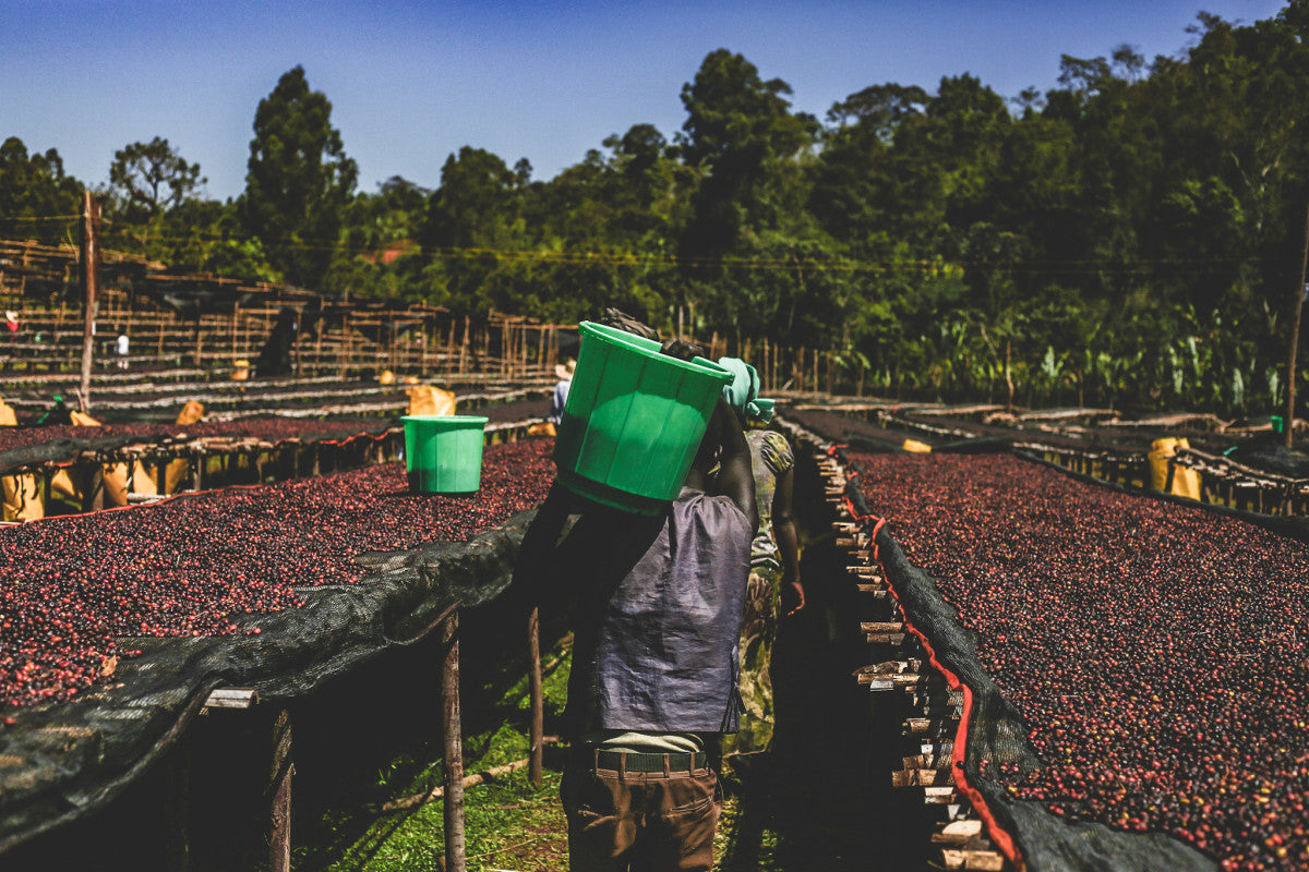 Farm image