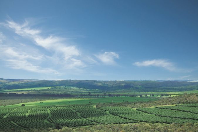 Farm image
