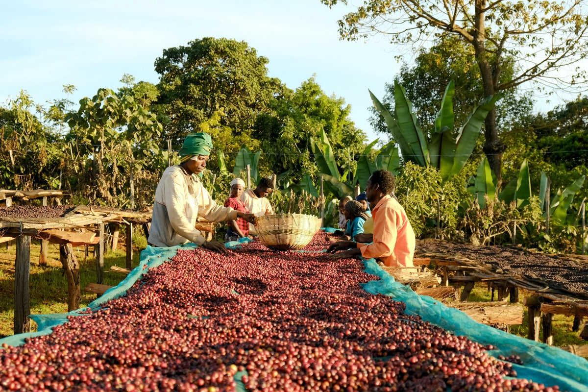 Farm image