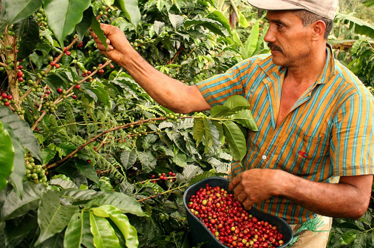 Farm image