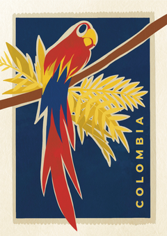 Colorful parrot illustration on a branch with 'Colombia' text against a blue background