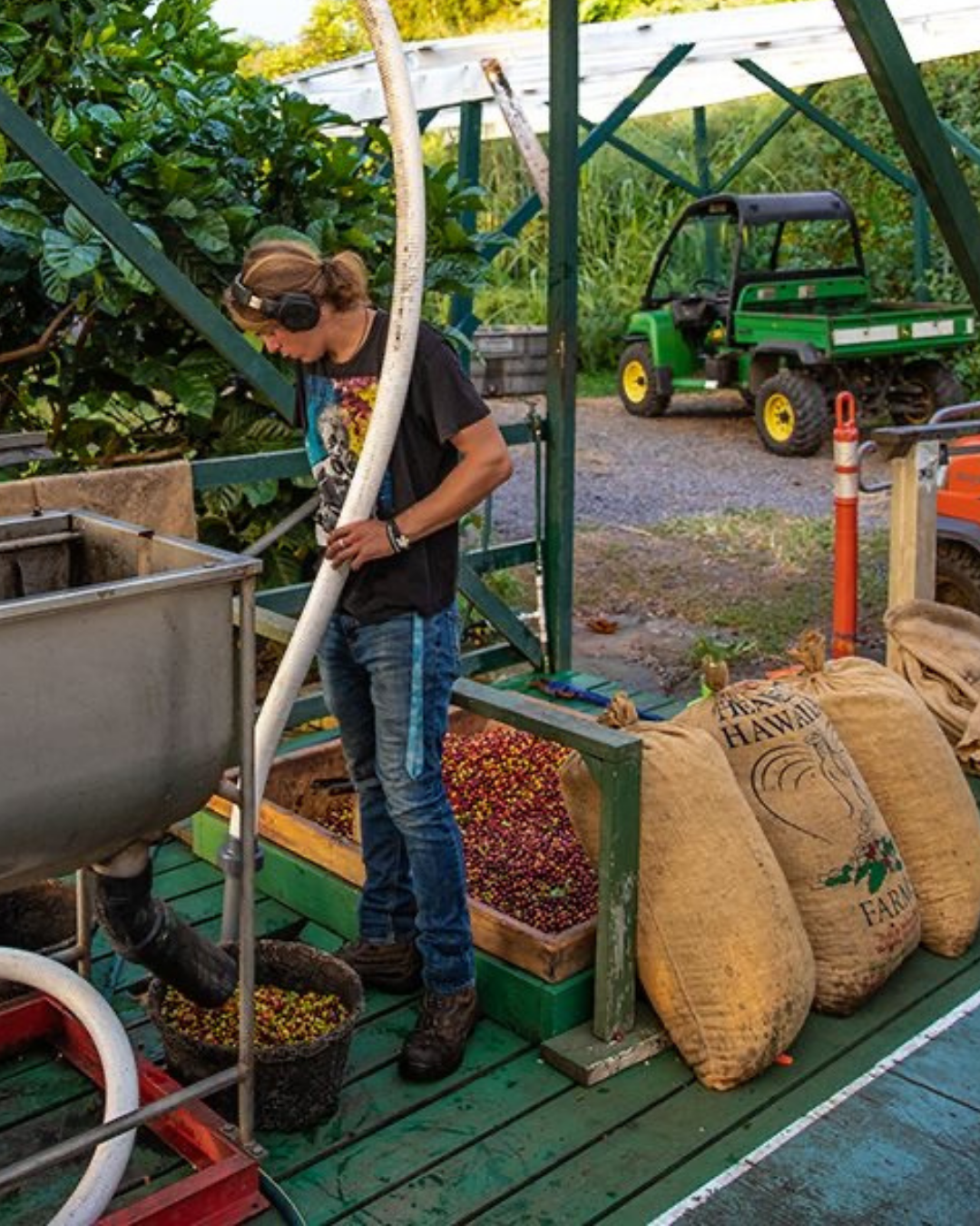 Farm image