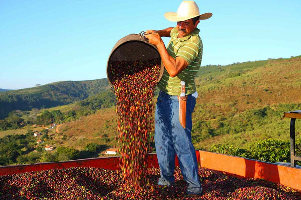 Farm image